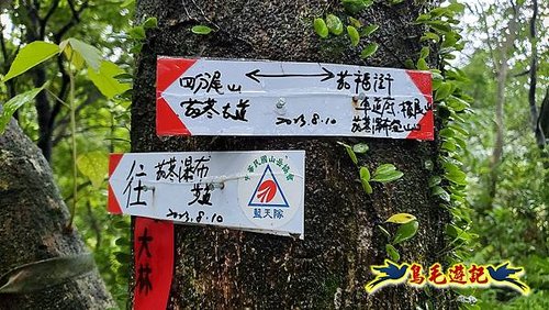 汐止加壽橋-槓尾山-四分尾山-茄冬古道O形 (51).jpg