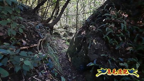 石門嶺古道-瑞泉溪畔古道-林市古道-富士古道縱走 (13).jpg