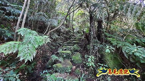 石門嶺古道-瑞泉溪畔古道-林市古道-富士古道縱走 (14).jpg