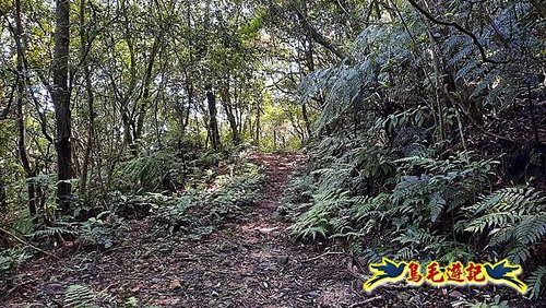 石門嶺古道-瑞泉溪畔古道-林市古道-富士古道縱走 (16).jpg