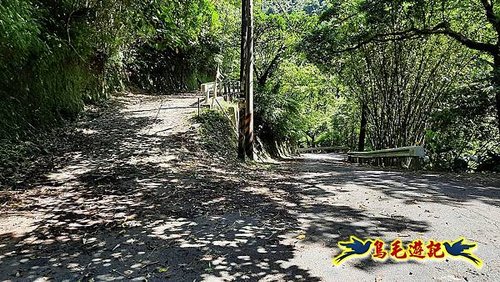 石門嶺古道-瑞泉溪畔古道-林市古道-富士古道縱走 (28).jpg