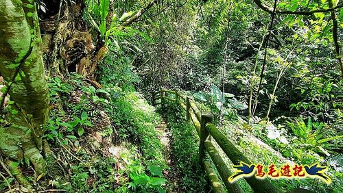 石門嶺古道-瑞泉溪畔古道-林市古道-富士古道縱走 (32).jpg