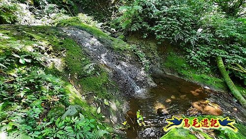 石門嶺古道-瑞泉溪畔古道-林市古道-富士古道縱走 (35).jpg