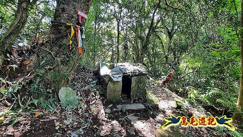 石門嶺古道-瑞泉溪畔古道-林市古道-富士古道縱走 (38).jpg