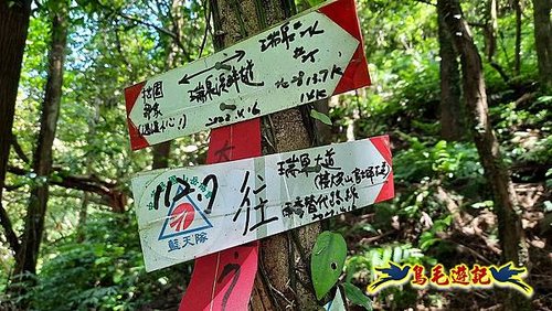 石門嶺古道-瑞泉溪畔古道-林市古道-富士古道縱走 (42).jpg