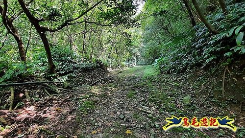 石門嶺古道-瑞泉溪畔古道-林市古道-富士古道縱走 (56).jpg