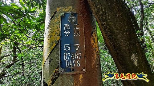 石門嶺古道-瑞泉溪畔古道-林市古道-富士古道縱走 (57).jpg