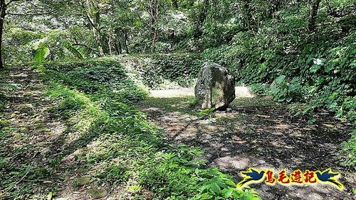 石門嶺古道-瑞泉溪畔古道-林市古道-富士古道縱走 (60).jpg