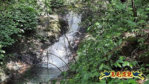 石門嶺古道-瑞泉溪畔古道-林市古道-富士古道縱走 (61).jpg