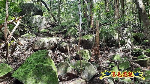 石門嶺古道-瑞泉溪畔古道-林市古道-富士古道縱走 (66).jpg