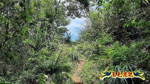 石門嶺古道-瑞泉溪畔古道-林市古道-富士古道縱走 (69).jpg