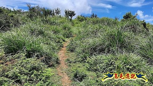 石門嶺古道-瑞泉溪畔古道-林市古道-富士古道縱走 (72).jpg