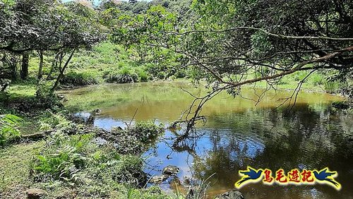 石門嶺古道-瑞泉溪畔古道-林市古道-富士古道縱走 (85).jpg