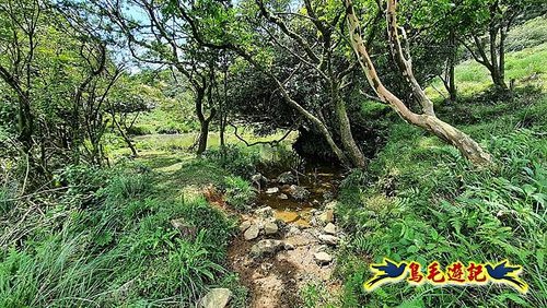 石門嶺古道-瑞泉溪畔古道-林市古道-富士古道縱走 (84).jpg