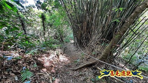 石門嶺古道-瑞泉溪畔古道-林市古道-富士古道縱走 (95).jpg