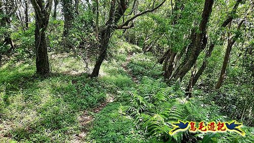 石門嶺古道-瑞泉溪畔古道-林市古道-富士古道縱走 (94).jpg