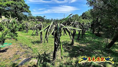 石門嶺古道-瑞泉溪畔古道-林市古道-富士古道縱走 (96).jpg