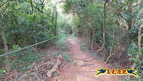 林口頂福巖森林步道 (11).jpg