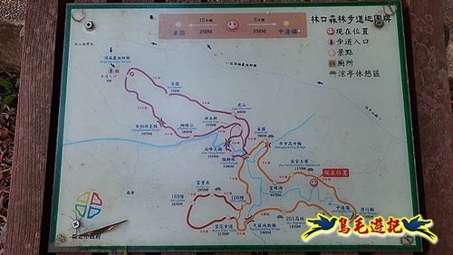 林口頂福巖森林步道 (21).jpg