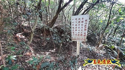 林口頂福巖森林步道 (35).jpg