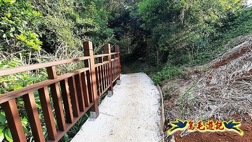 林口頂福巖森林步道 (46).jpg