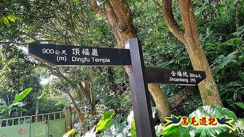 林口頂福巖森林步道 (51).jpg