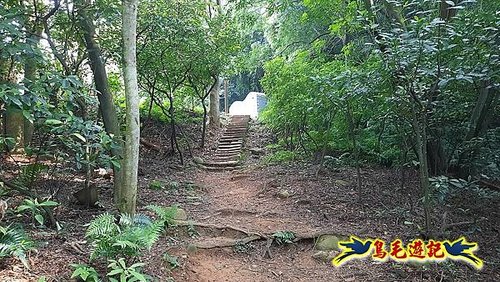 林口頂福巖森林步道 (60).jpg