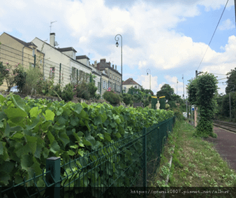 【法國奧維】Auvers-sur-Oise--跟著梵谷的步伐