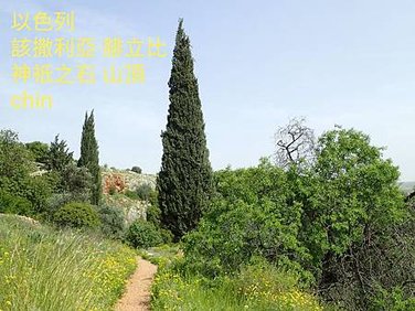 20190718_121250.jpg