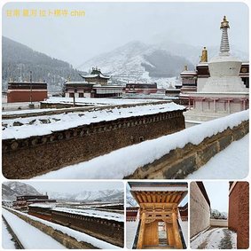 1120423甘南 夏河 拉卜楞寺 桑科濕地-若爾蓋 尕海湖 郎木寺 拼圖(13).jpg