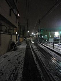 DSC09597.jpg