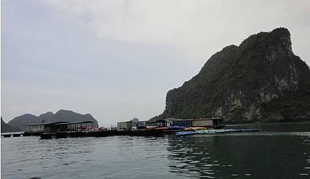 58.jpg