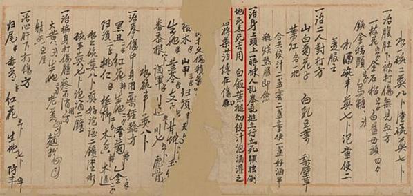 清朝護照/官有地拂下願/死而復生中藥方/1896年由廈門搭乘