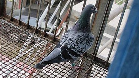 前進4000號