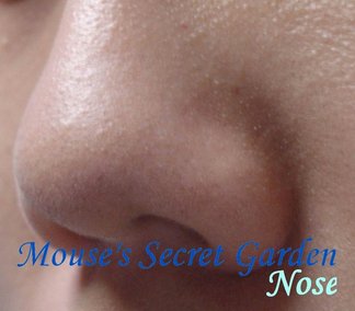 Rotation of nose Jan 4--new.jpg