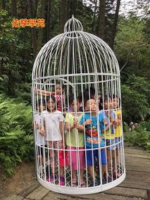 拍拍翅膀~一起來去森林鳥花園