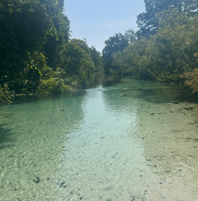 (待不住，往外跑) 在佛羅里達州Weeki Wachee S