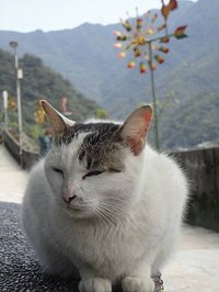 DSC03342.JPG