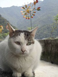 DSC03343.JPG