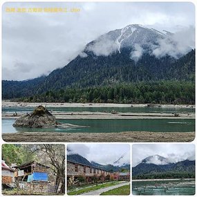 1120403西藏 林芝 魯朗-波密 嘎朗湖 嘎朗村 桃花溝 拼圖(5).jpg