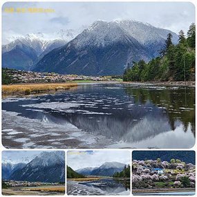 1120403西藏 林芝 魯朗-波密 嘎朗湖 嘎朗村 桃花溝 拼圖(7).jpg