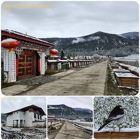 1120404西藏 林芝 魯朗 高山牧場-鲁朗林海-色季拉山 啞口-雅尼國家濕地公園-八一鎮 拼圖(3).jpg