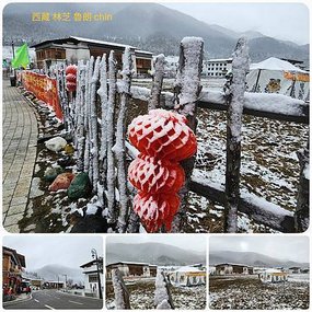 1120404西藏 林芝 魯朗 高山牧場-鲁朗林海-色季拉山 啞口-雅尼國家濕地公園-八一鎮 拼圖(1).jpg
