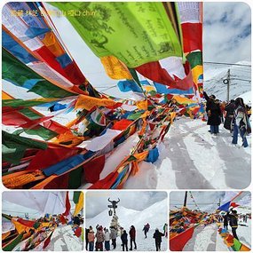 1120404西藏 林芝 魯朗 高山牧場-鲁朗林海-色季拉山 啞口-雅尼國家濕地公園-八一鎮 拼圖(31).jpg