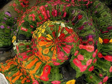  花