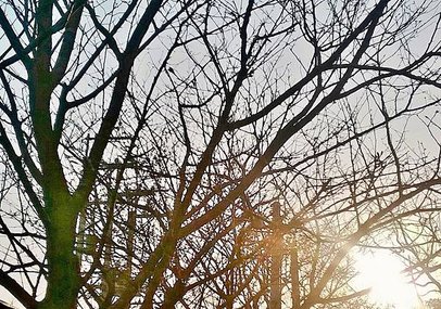 WP_20140128_012