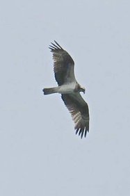 IMG_5401.JPG