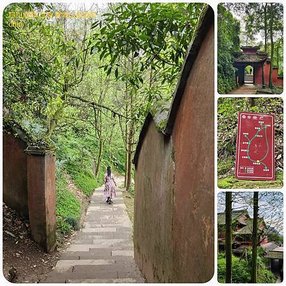 1120329四川 成都 世遺 青城山 拼圖(34).jpg