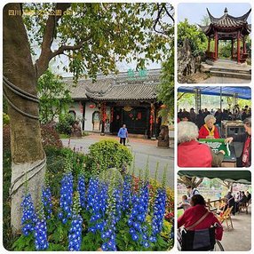 1120331四川 成都 杜甫草堂 寬窄井巷 拼圖(16).jpg
