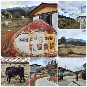 1120402西藏 林芝 嘎拉桃花村-色季拉山-魯朗 拼圖(13).jpg